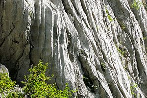 Typischer, scharfkantiger Velebit-Kalk