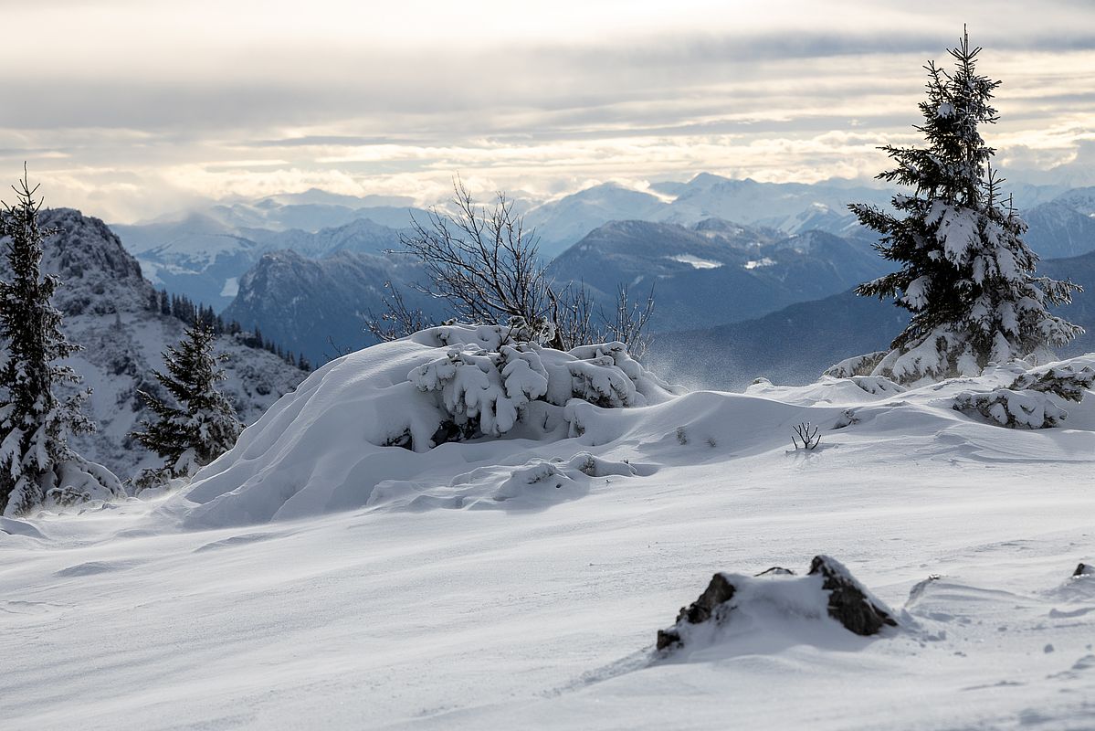 Am Nachmittag legt der Wind zu und verfrachtet am Zinnenbergplateau bereits wieder den Schnee