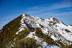 Blick am Grat vom Steilner Joch zum Gipfel