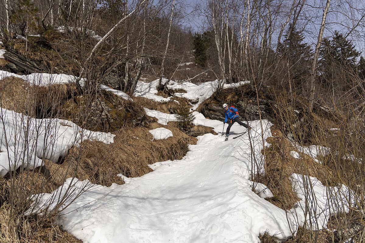 Auf dem Waldweg sollte man seine Ski im Griff haben