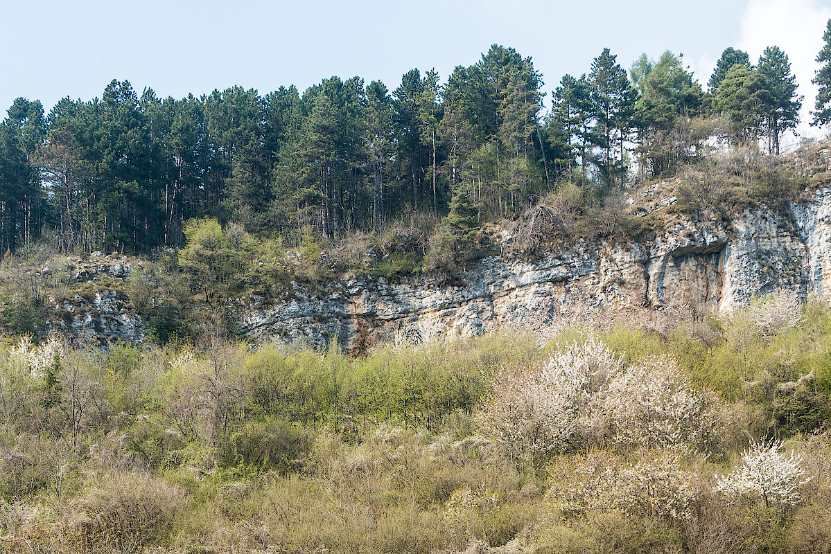 Der Felsriegel oberhalb von Ronzo