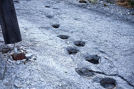 Eindeutig: Hier war ein Dino Dinosaurierspuren in den Felsplatten oberhalb von Rovereto