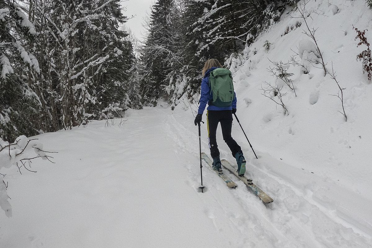 Auch der Waldweg direkt vom Parkplatz hoch zur Schoisser-Alm hat schon eine brauchbare Auflage, bei der Abfahrt haben wir trotzdem die Straße genommen