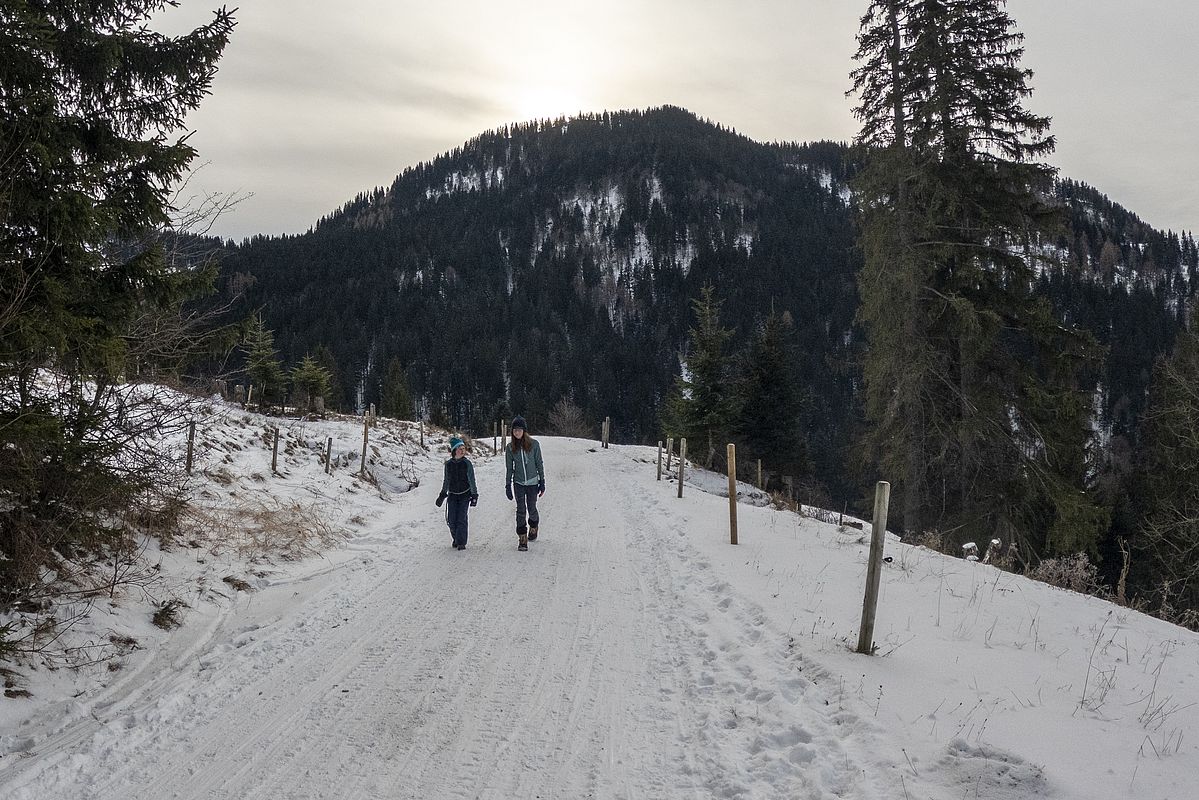 Rodelbahn Priener Hütte