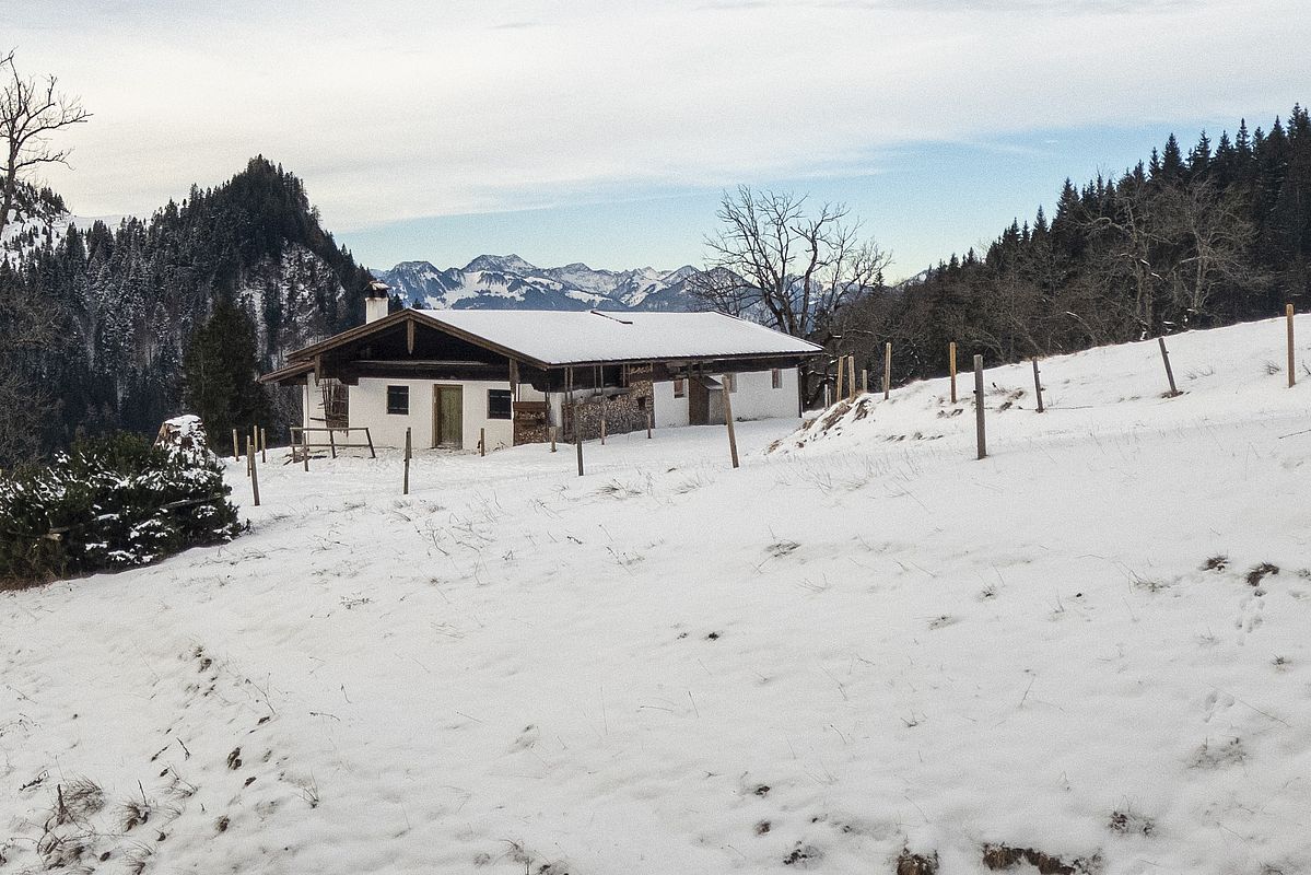 Blick über die Talalm