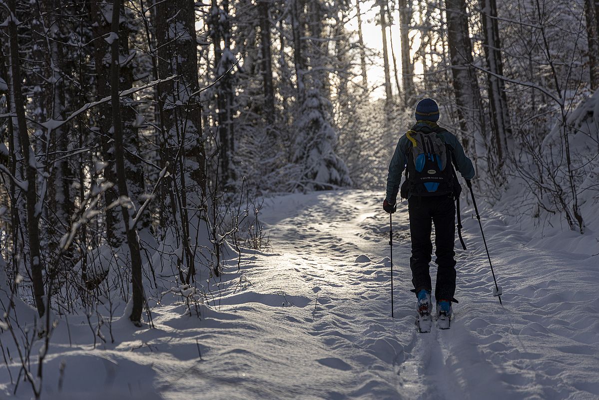 Morgensonne kurz oberhalb vom Waldparkplatz