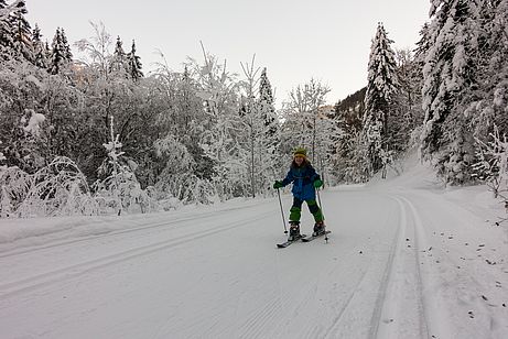 Ideales Eingeh-Gelände für die erste Skitour, die leicht ansteigende Langlaufloipe zur Griesneralm. Ideales Eingeh-Gelände für die erste Skitour, die leicht ansteigende Langlaufloipe zur Griesneralm.