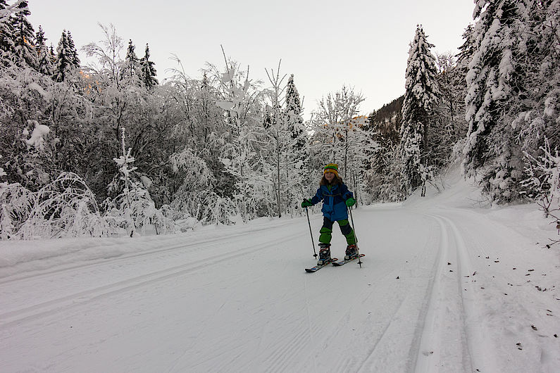 Ideales Eingeh-Gelände für die erste Skitour, die leicht ansteigende Langlaufloipe zur Griesneralm.