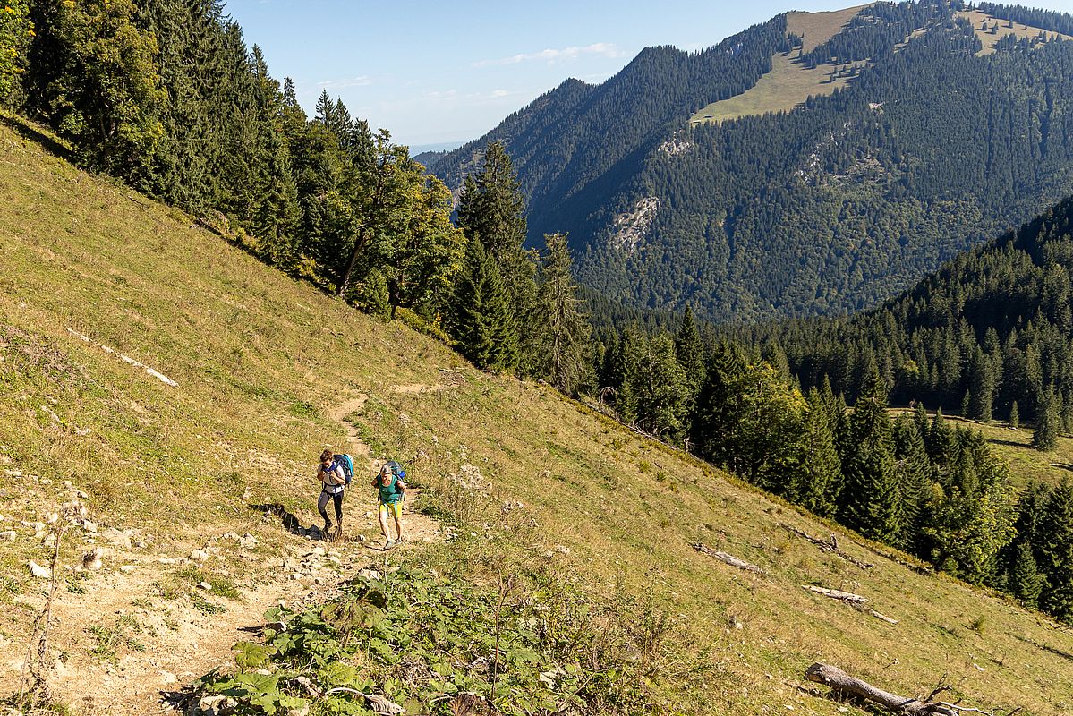 Schweißtreibender Aufstieg