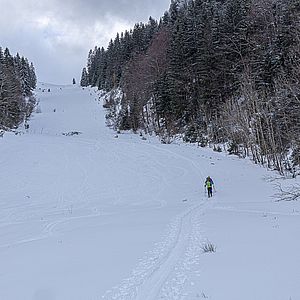 Blick vom Schwendtboden nach oben