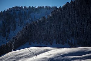 Blick vom Aufstieg zum Roßkopf über den Grünsee zum Stolzenberg