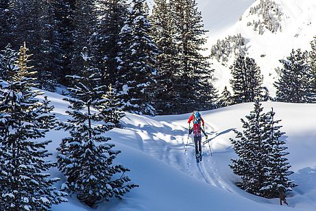 Typisches Zirbenwaldambiente in den tieferen Lagen des Tourengebiets der Weidener Hütte. Typisches Zirbenwaldambiente in den tieferen Lagen des Tourengebiets der Weidener Hütte.