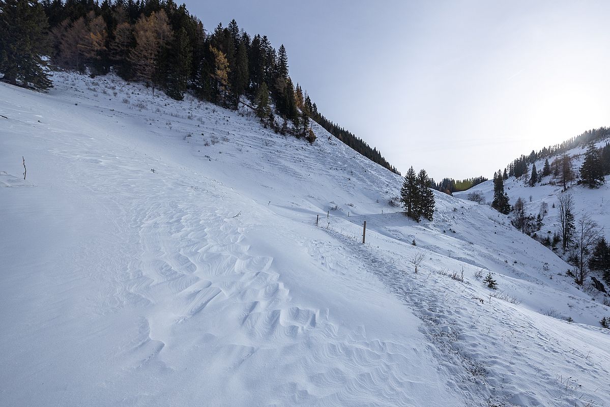 Viel Windeinfluss ab der Seelacher Alm