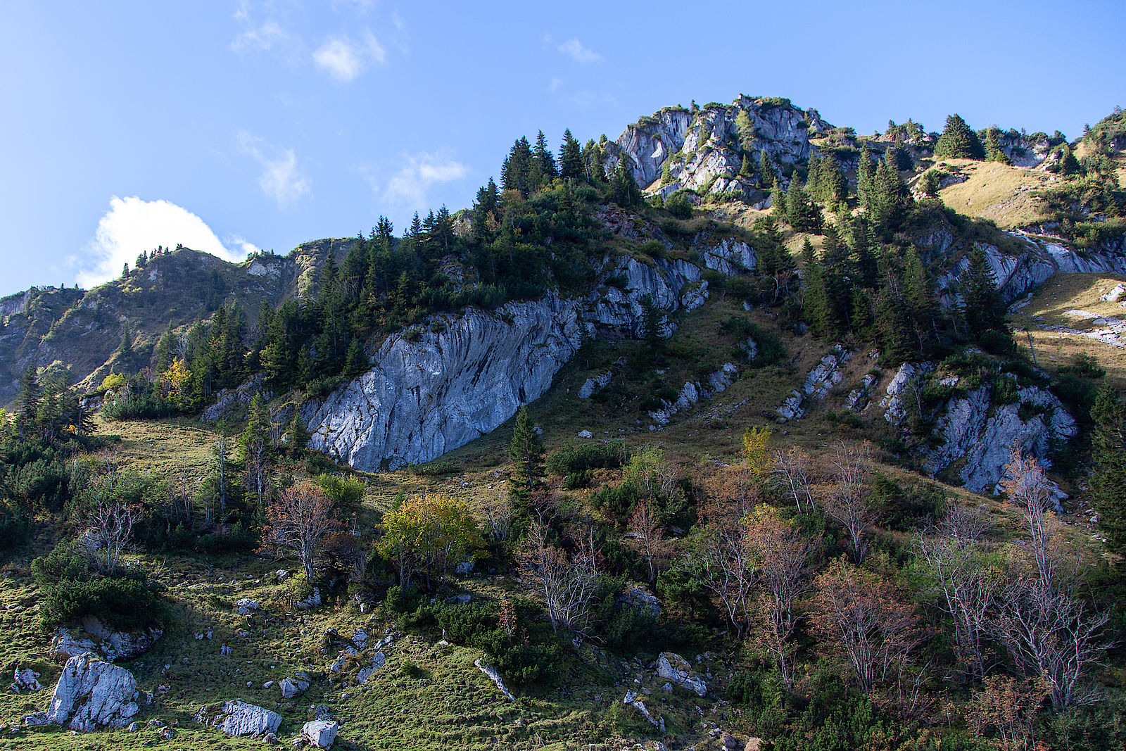 Das Almwandl an der Kleintiefentalalm