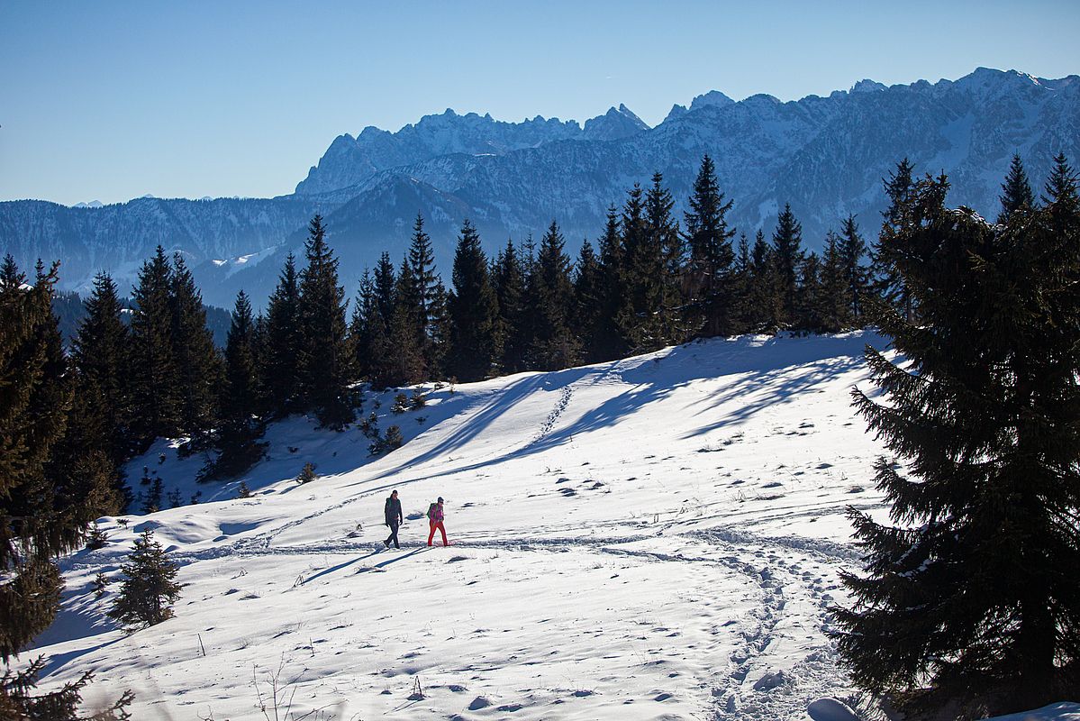 Unter der Aueralm verlässt der Weg den Wald - hier liegen 15-20 cm Schnee