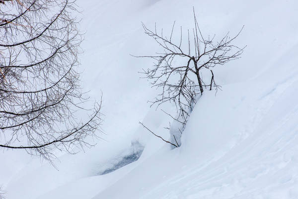Etwa eineinalb Meter Schnee belastet die Bäume im Aufstieg zur Henne