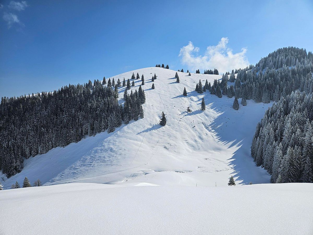 Blick vom Rücken zwischen Baumoosalm und Seelackeralm zur Brünnsteinschanze