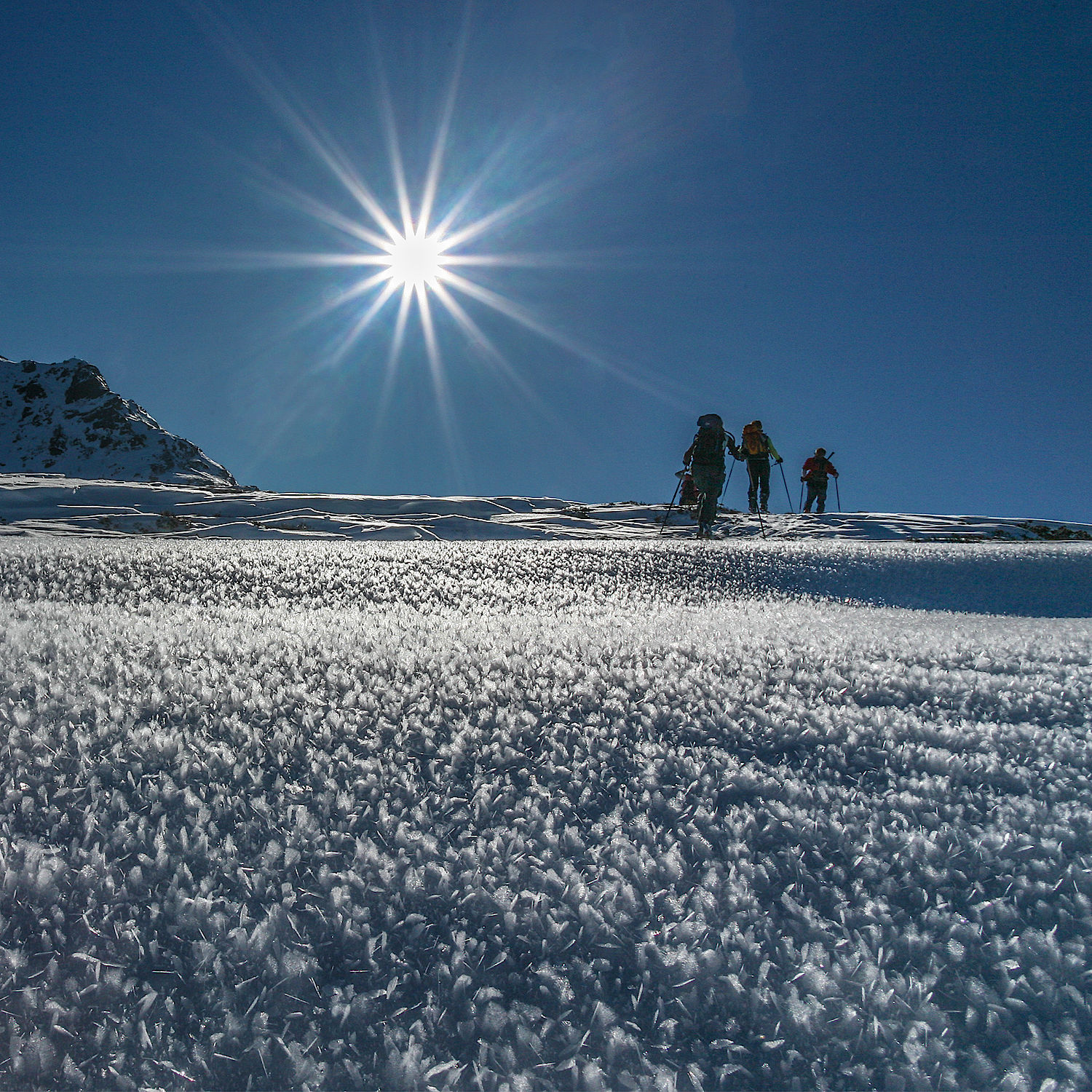 Kostenlose Hintergrundbilder Fur Den Desktop Winter