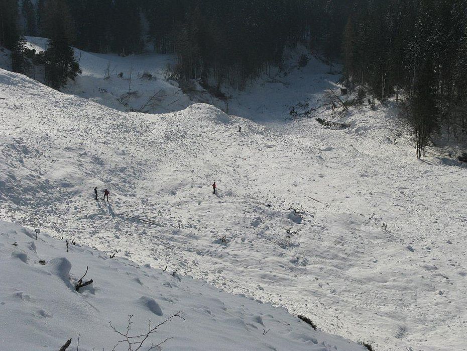 Und so nach dem Lawinenabgang im Januar 2012. Wegscheidalm nach dem Lawinenabgang im Januar 2012.