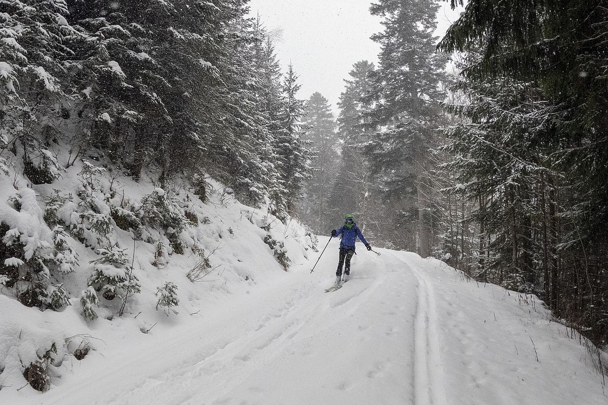 Uneingeschränkt gut zu fahren waren die Forststraßenabschnitte