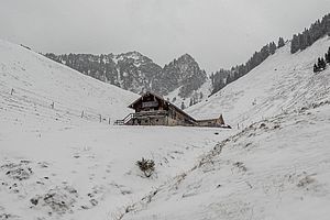 Lechneralm im Schneetreiben, oben drüber mein Tagesziel