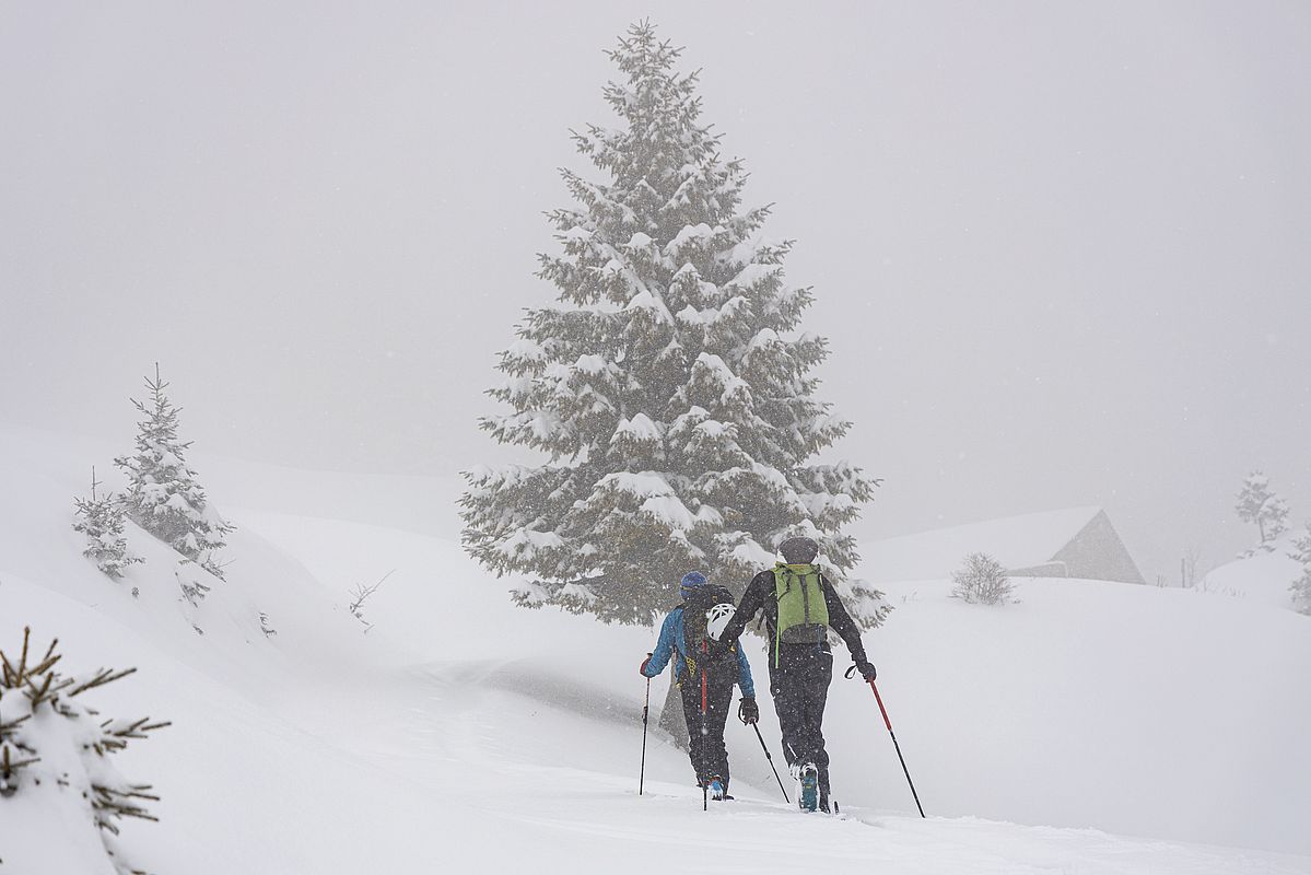 Immer wieder kräftige Schneeschauer am Vormittag