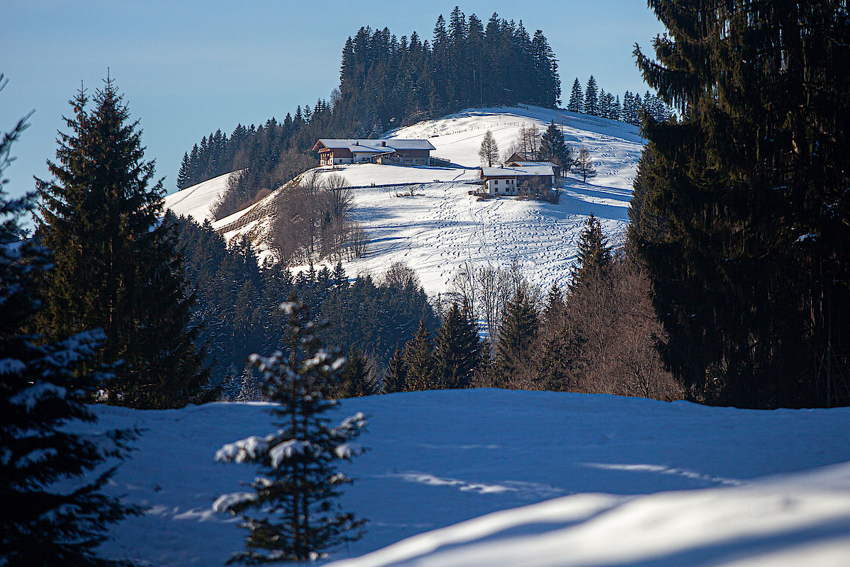 Blick in Richtung Stein/Erlerberg, wo sich jemand viel Mühe mit den Skispuren gegeben hab