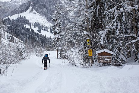 Wer nicht wachst kriegt kräftige Oberarme. Wer nicht wachst kriegt kräftige Oberarme.