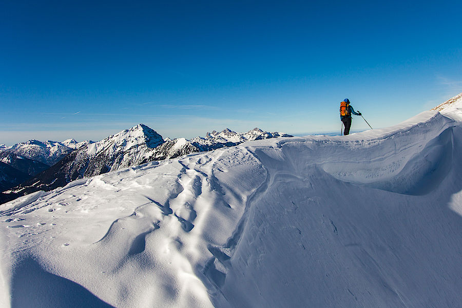 Thaneller und Tannheimer Berge im Hintergrund 