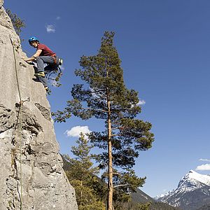 Im Hintergrund leuchtet das schneebedeckte Karwendelgebirge