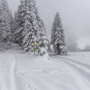 Abzweigung in Richtung Oberkaseralm von der Forststraße
