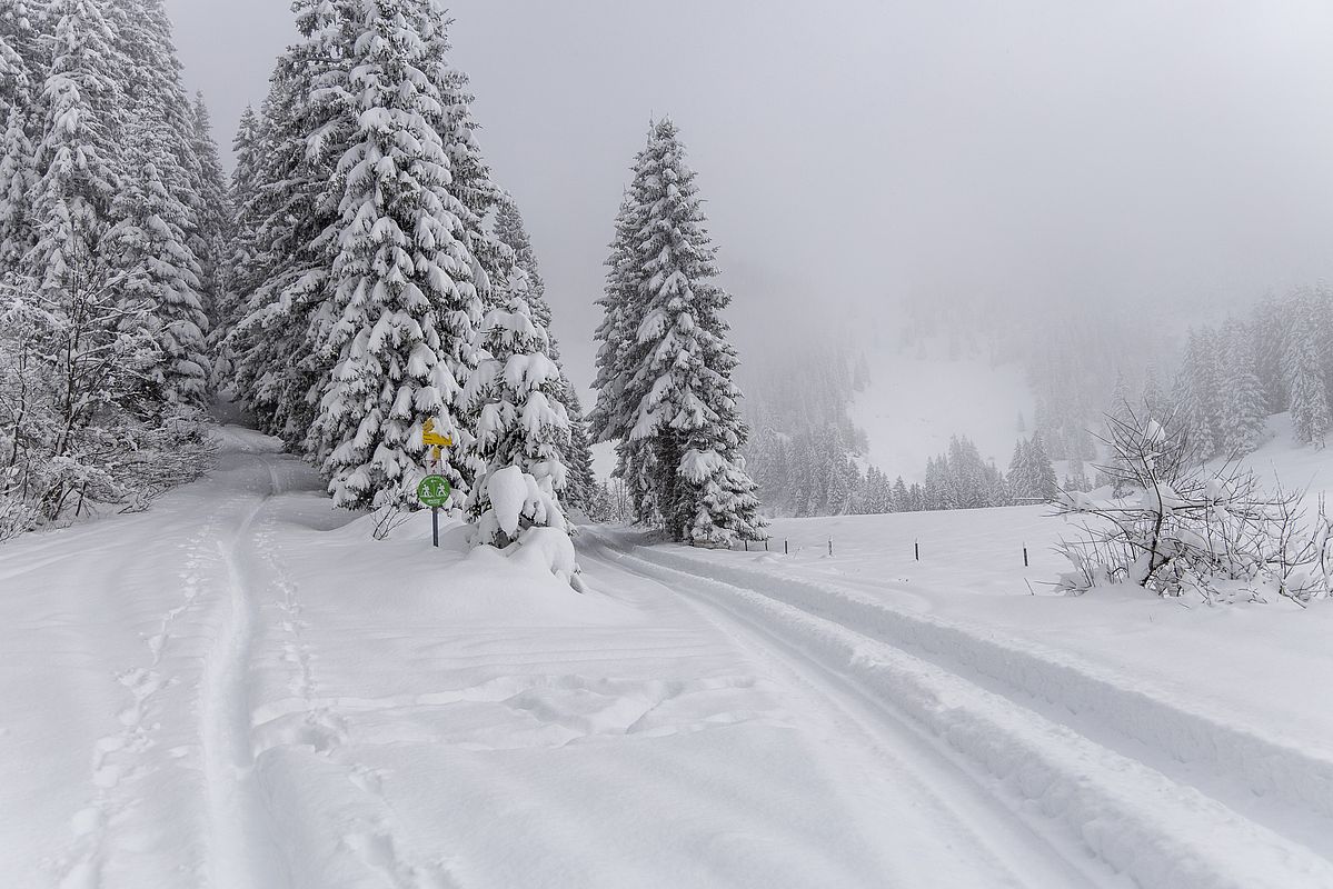 Abzweigung in Richtung Oberkaseralm von der Forststraße