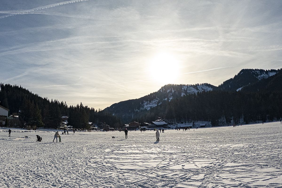 Viel los auf dem See