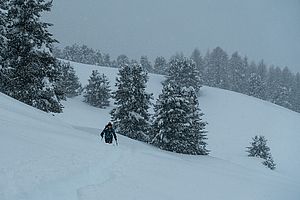 Schneefallskitour zum Gasthaus Maseben