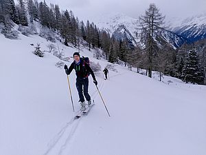 Schönes Skigelände im Bereich der Waldgrenze