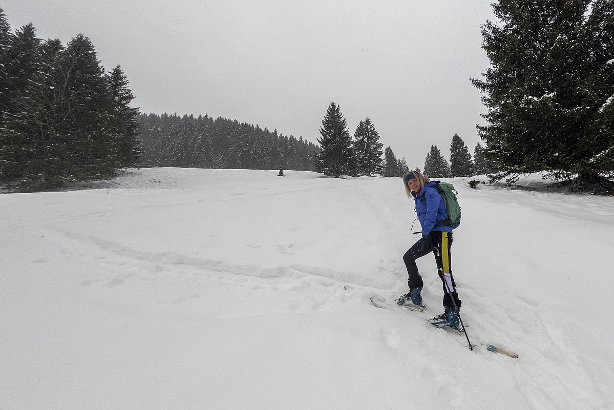Feeling fast wie auf einer richtigen Skitour: Der Hang oberhalb der Schoisser Alm.