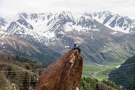 Vogelskulptur an der Patziner Alm mit Tiefblick auf das Langtauferer Tal Vogelskulptur an der Patziner Alm mit Tiefblick auf das Langtauferer Tal