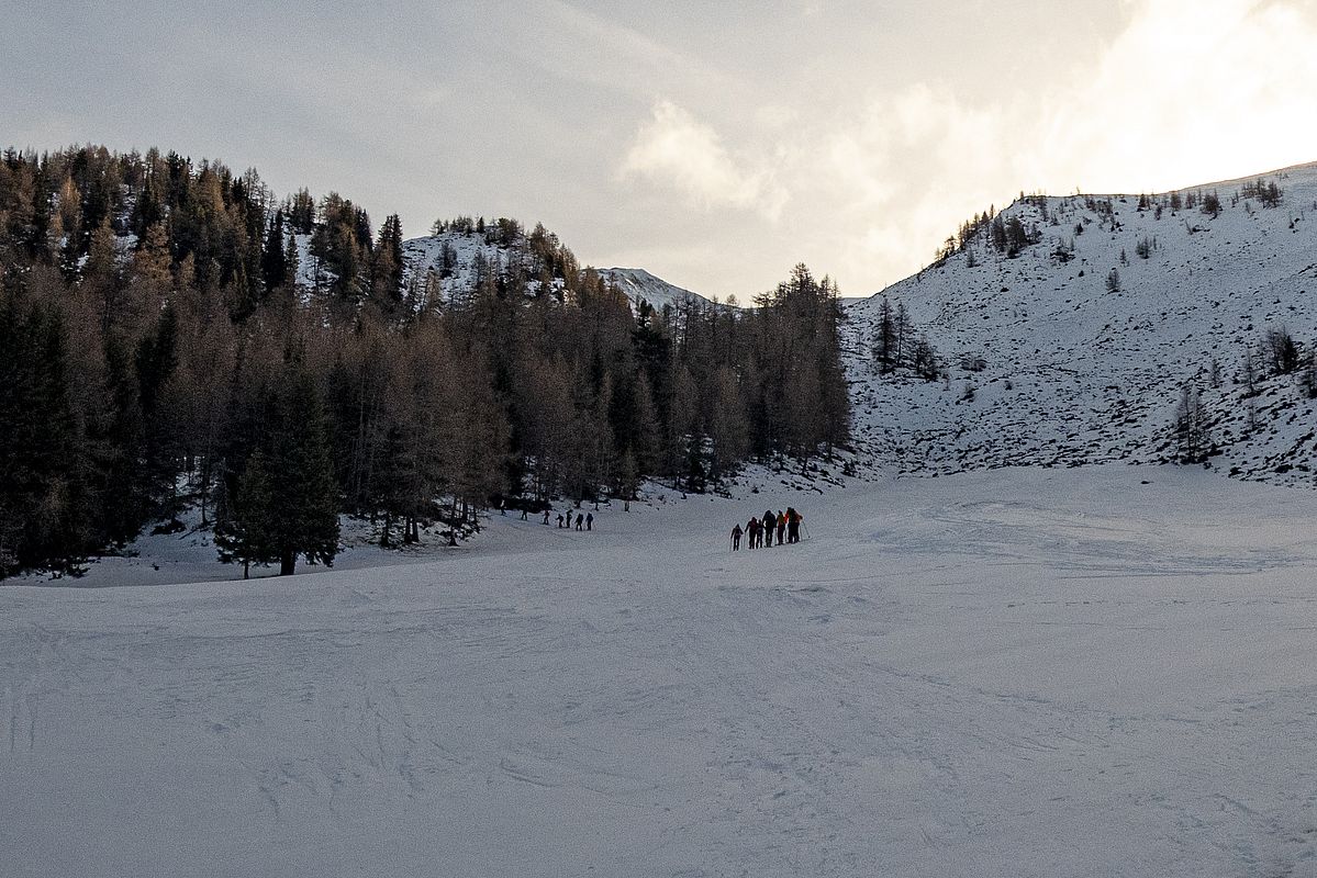 Blick auf die krautige Steilstufe