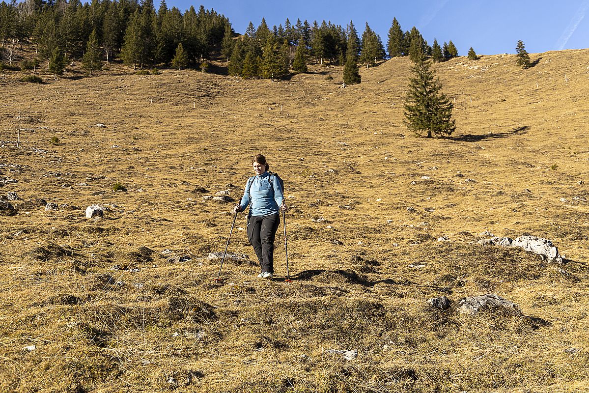 Abstieg über die aperen Wiesen der Lechneralm
