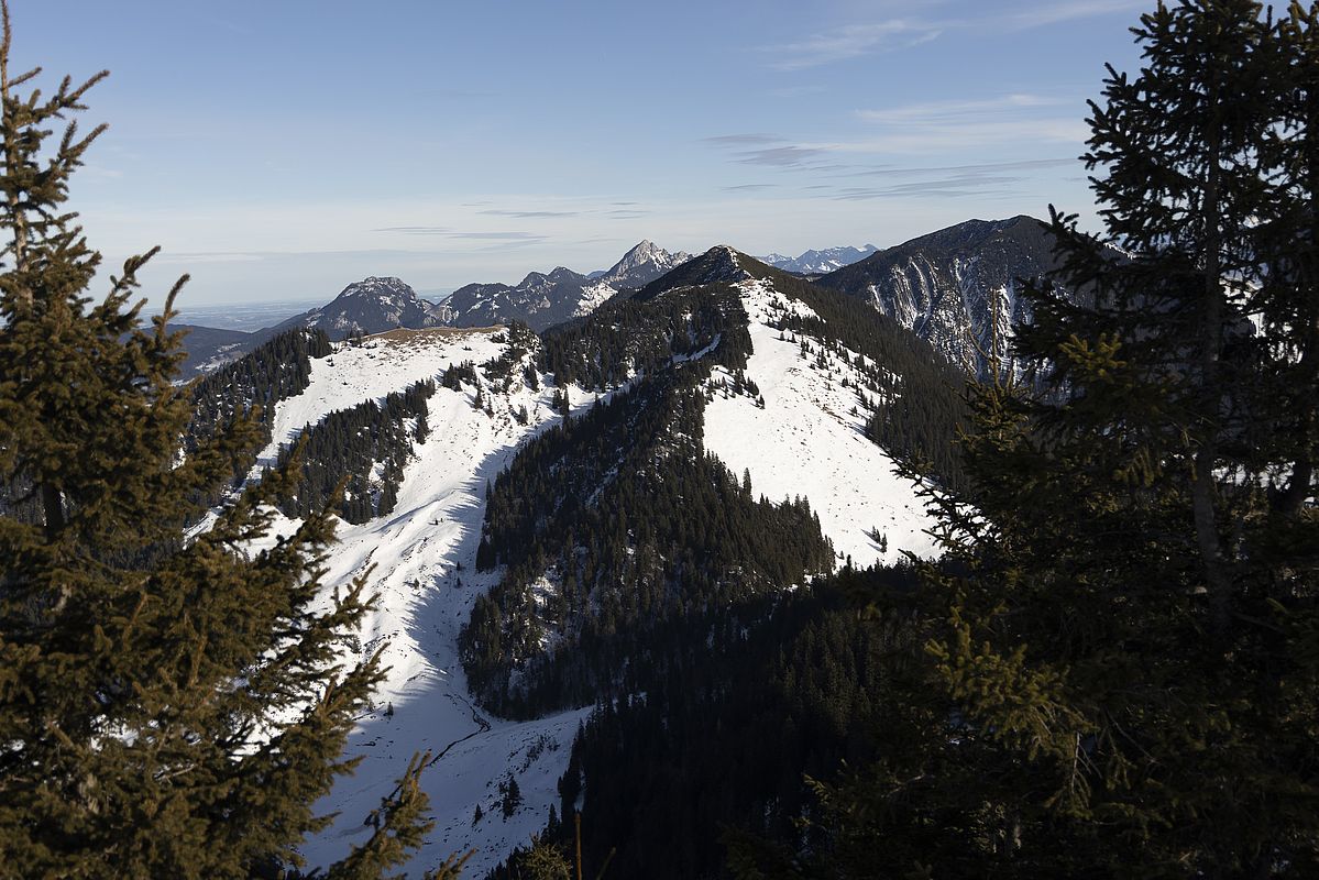 Brecherspitze