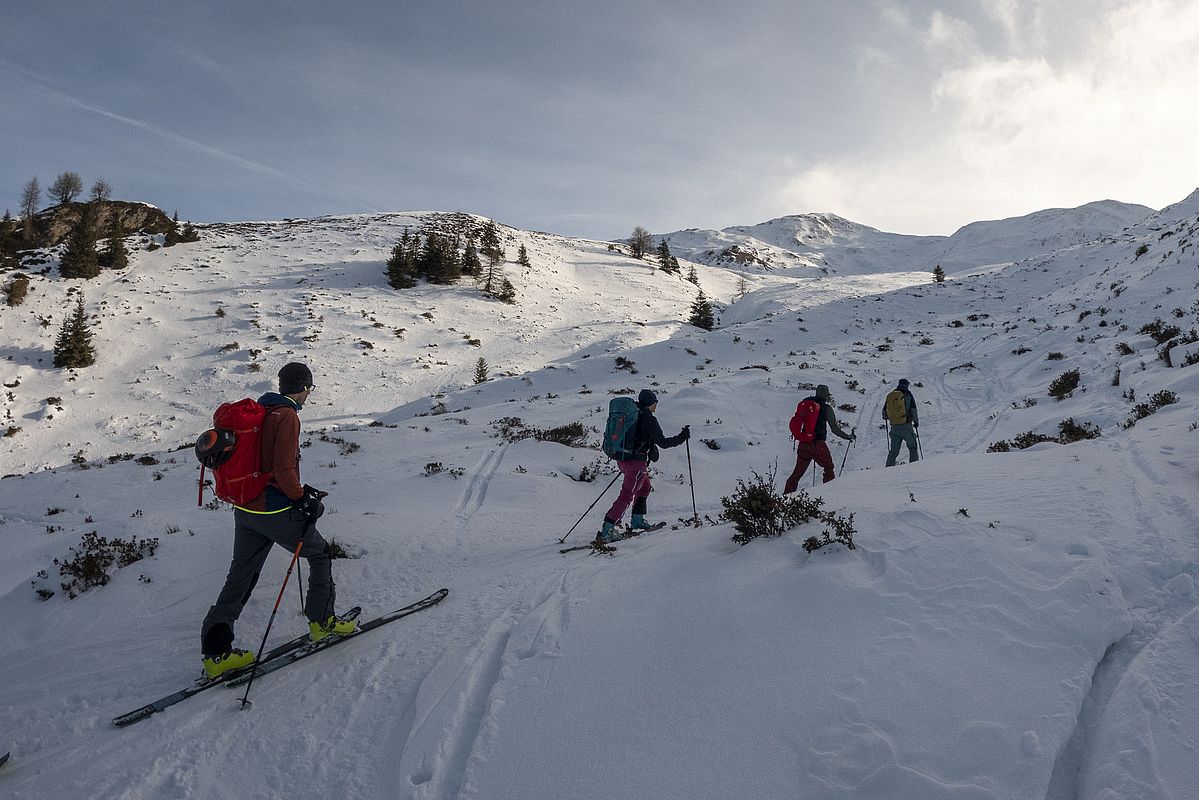 Im Flachstück zum Gipfelhang schaut noch der Almrausch heraus, lässt sich aber gut umgehen und umfahren
