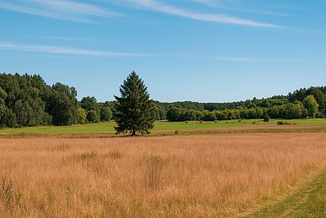 Die Landschaft im ersten Teil der Etappe