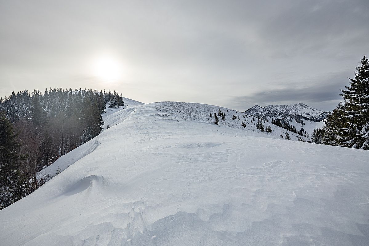 Große Schneeverfrachtungen am Gipfelkamm