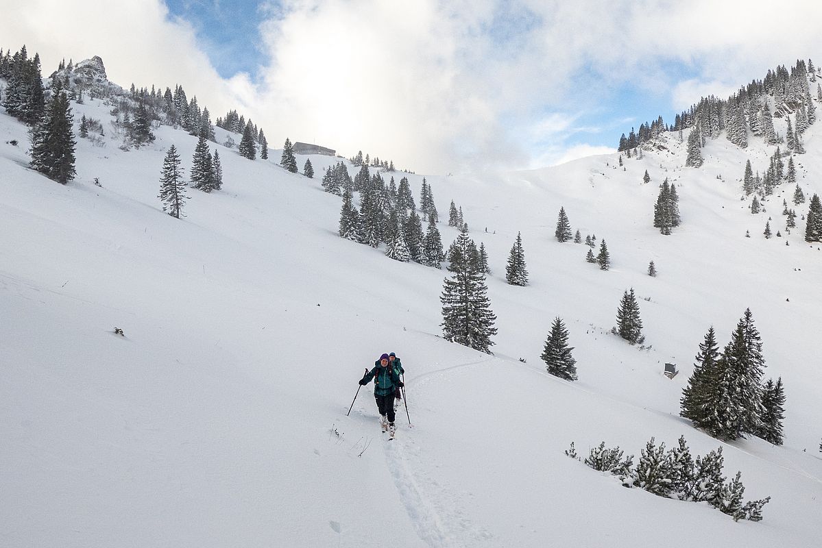 Im Bereich des Taubensteinhauses - hinten der Taubensteinsattel