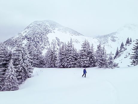 Kurz vor dem Skidepot des Taubensteins, im Hintergrund der Hohe Miesing. Kurz vor dem Skidepot des Taubensteins, im Hintergrund der Hohe Miesing.