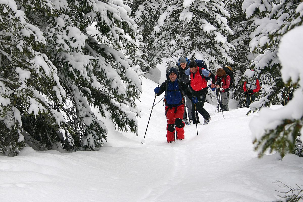 Im Triebentaler Winterwald