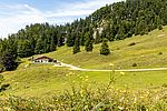 Die Buchauer Alm - dahinter im Wald spitzt die Wand hervor. Die Buchauer Alm - dahinter im Wald spitzt die Wand hervor.