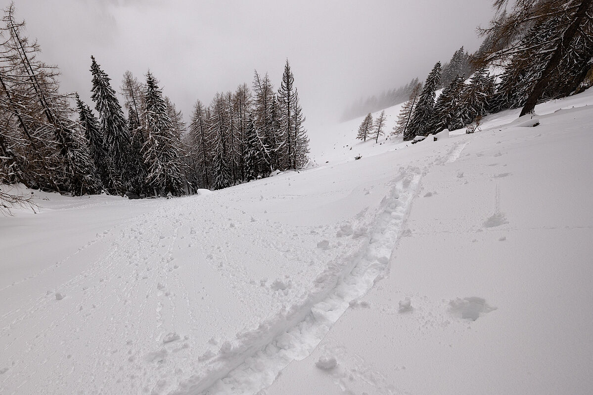 Hier in der Saugasse durfte man durch 50 cm tiefen Pappschnee spuren