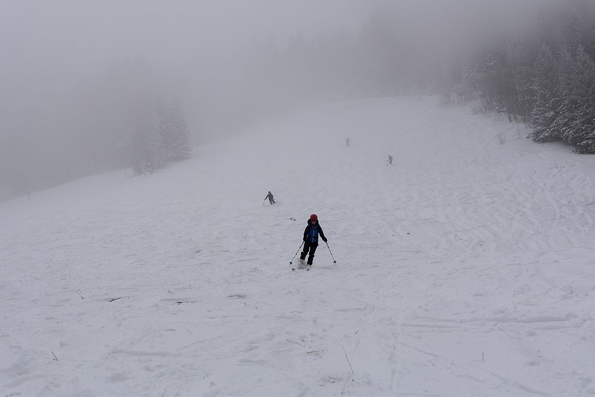 Ab Höhe Gori-Alm konnte man es laufen lassen