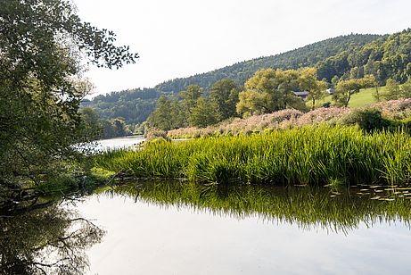 Idylle am Regen